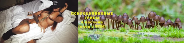прущий лед Аркадак