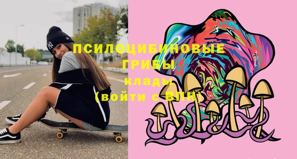 стафф Армянск