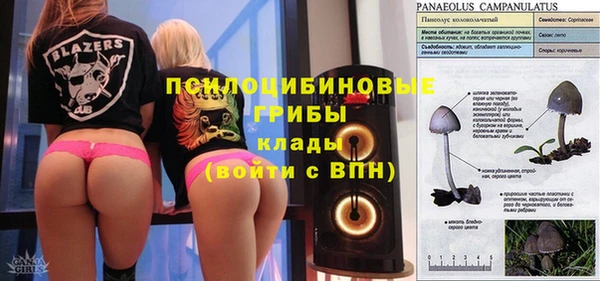 прущий лед Аркадак