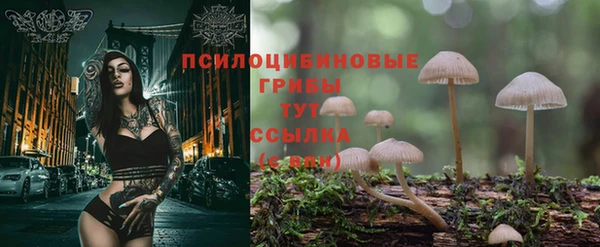 прущий лед Аркадак