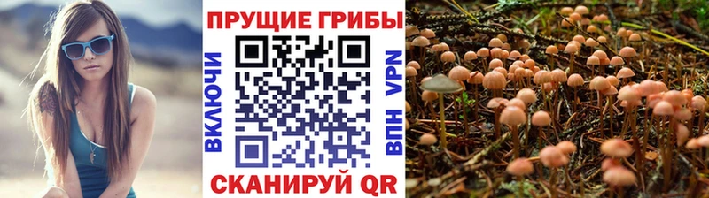 цены   Слюдянка  Галлюциногенные грибы MAGIC MUSHROOMS 
